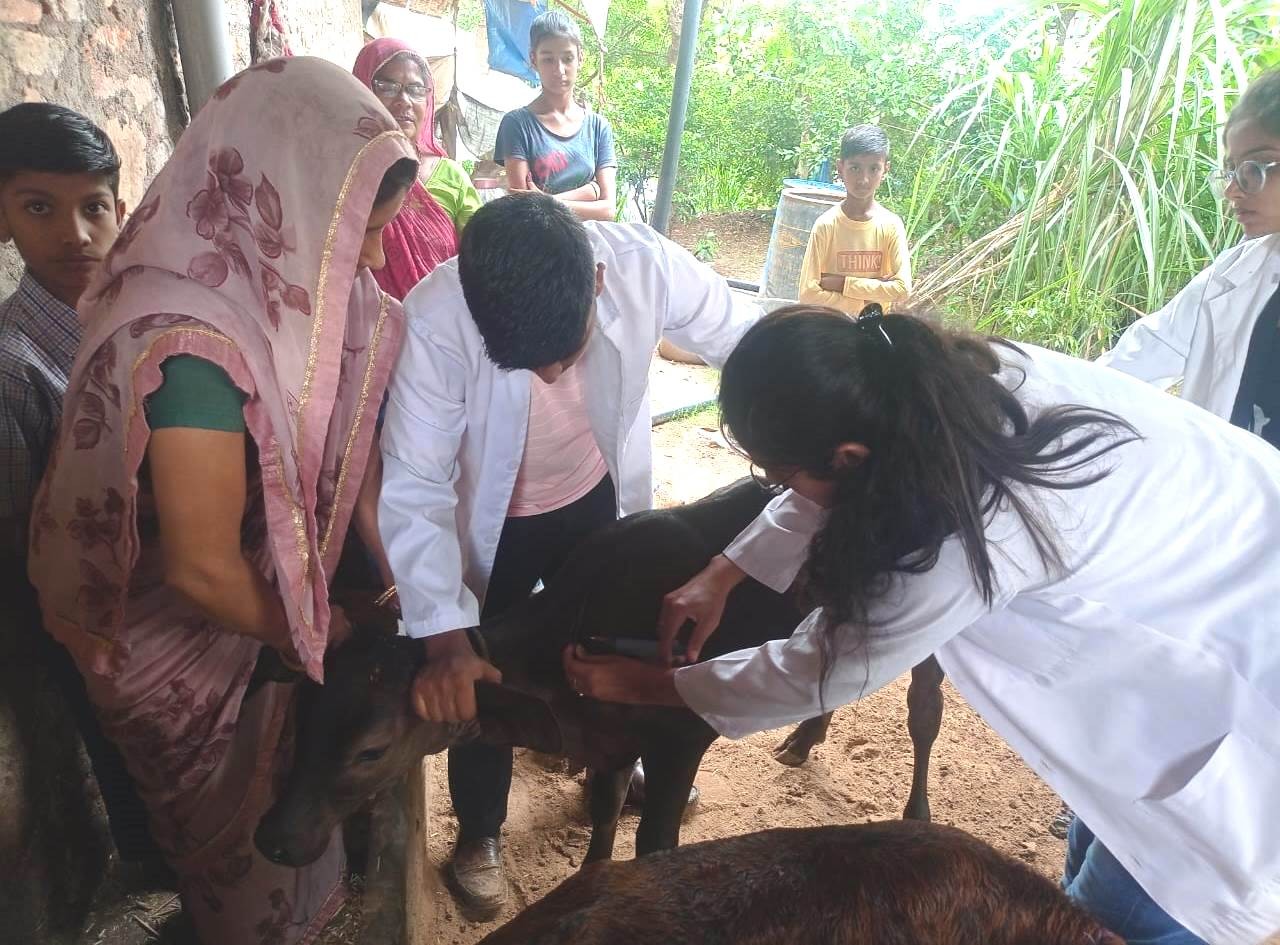 Glimpses of Veterinary Camp Organised at Village SAMOD 14-10-2023